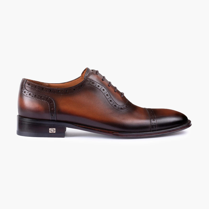 Men's Dark & Light Brown Oxford Lace-Up